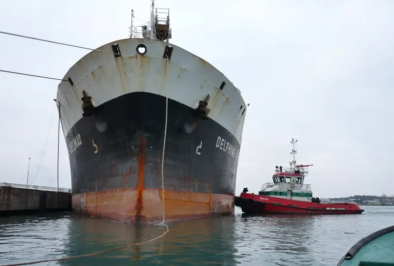 KING PHENIX General Cargo IMO 8325597 photo 10