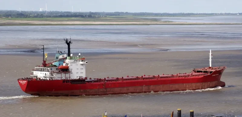 SAKHALIN Bulk Carrier IMO 8325925 photo 2