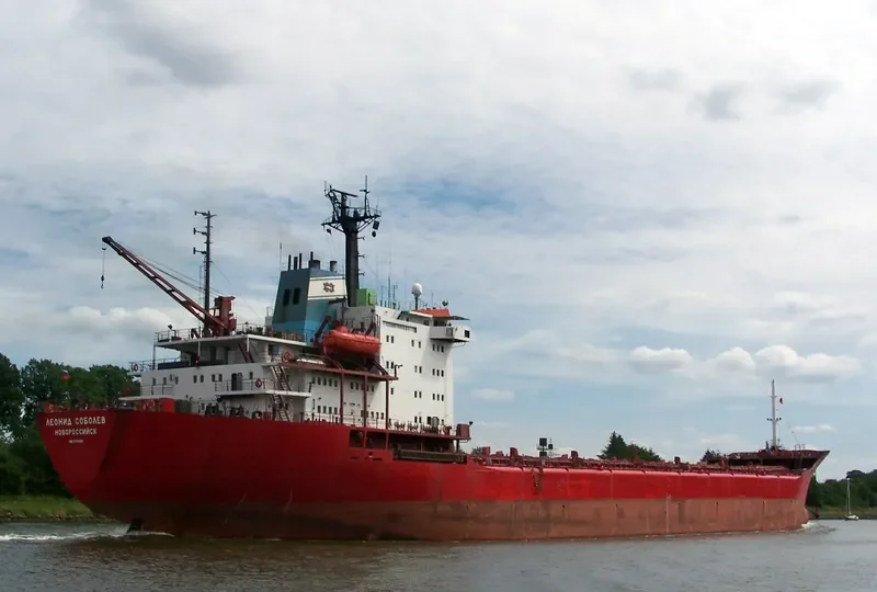 SAKHALIN Bulk Carrier IMO 8325925 photo 5