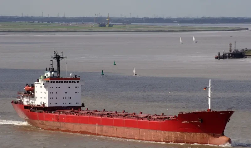 SAKHALIN Bulk Carrier IMO 8325925 photo 6