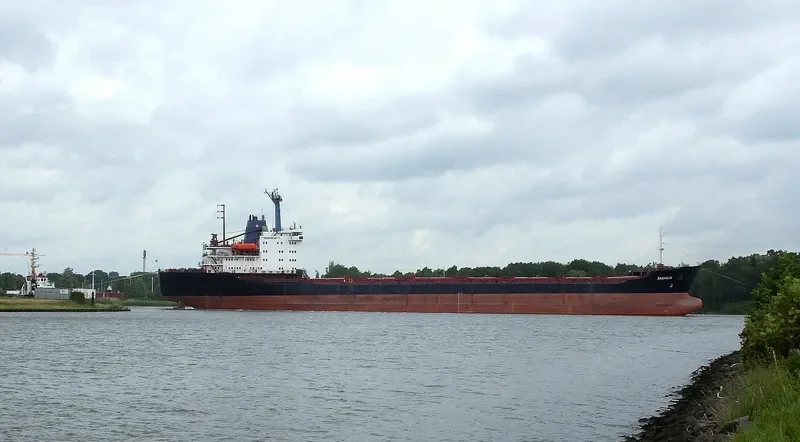 SAKHALIN Bulk Carrier IMO 8325925 photo 8