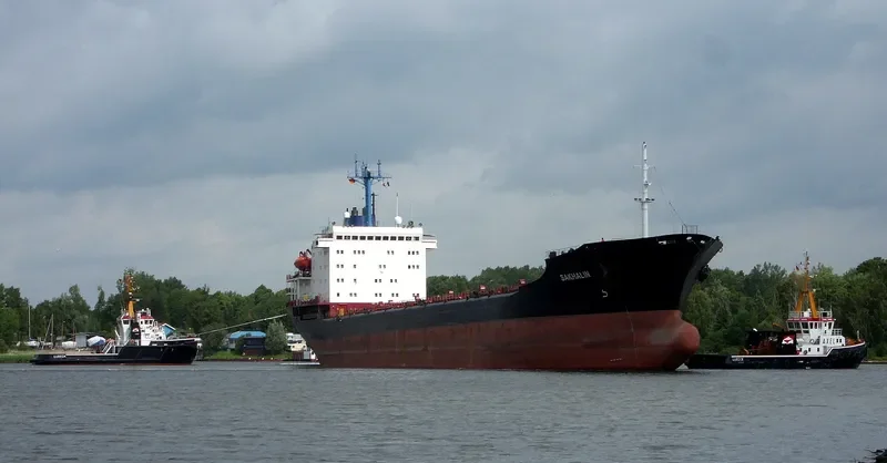 SAKHALIN Bulk Carrier IMO 8325925 photo 9
