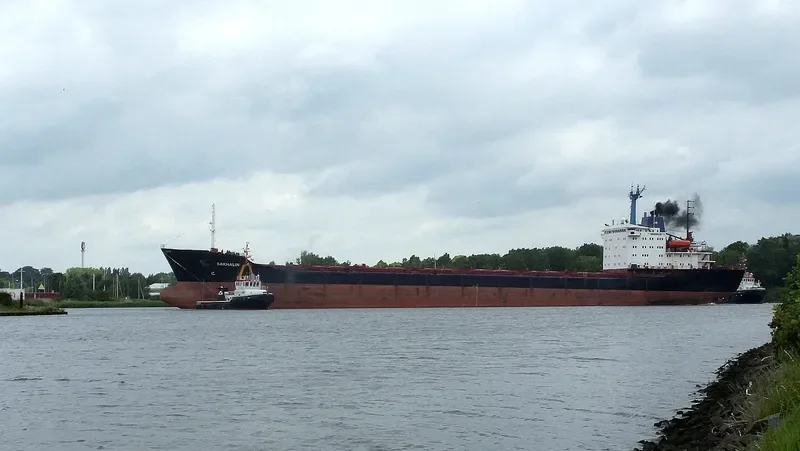 SAKHALIN Bulk Carrier IMO 8325925 photo 10