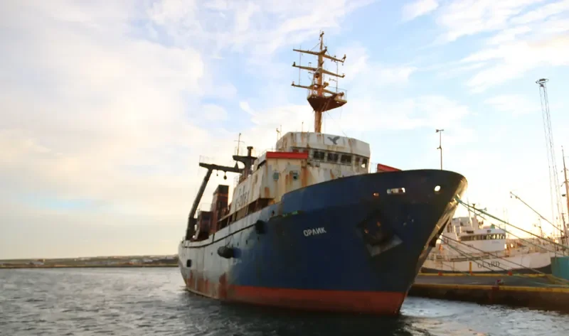 ORLIK General Cargo IMO 8326187