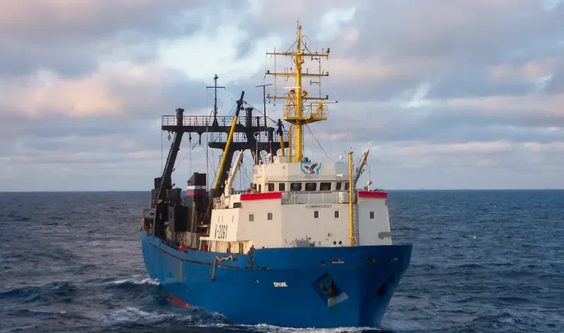 ORLIK General Cargo IMO 8326187 photo 5