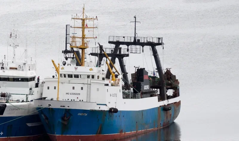 OLENTY General Cargo IMO 8326228 photo 3