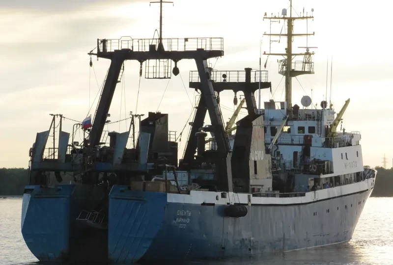 OLENTY General Cargo IMO 8326228 photo 7