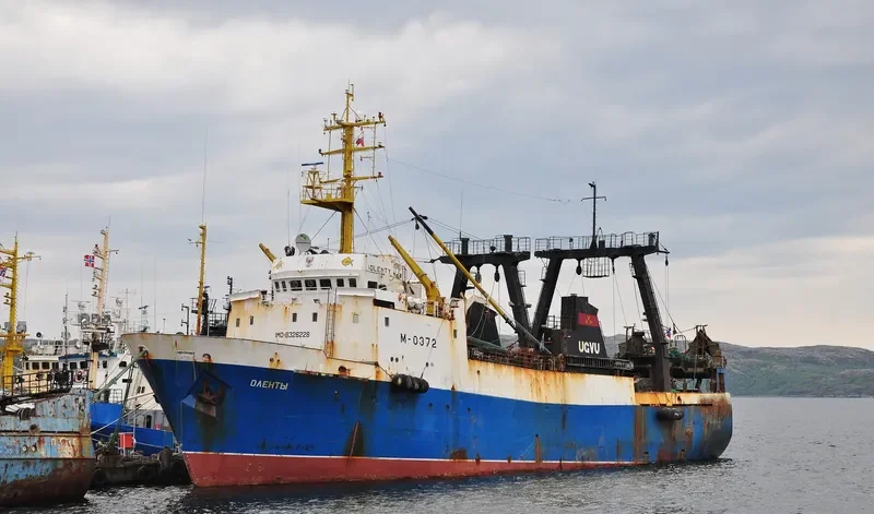 OLENTY General Cargo IMO 8326228 photo 8