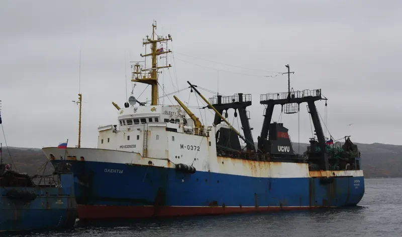 OLENTY General Cargo IMO 8326228 photo 10