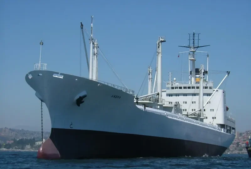 ARCTIC REEFER General Cargo IMO 8330528
