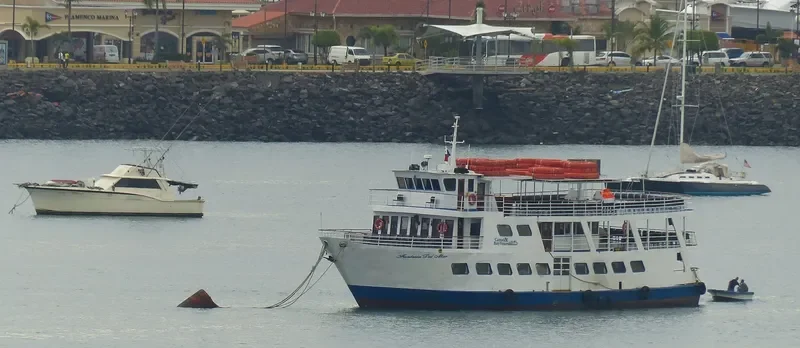FANTASIA DEL MAR Passenger Ship IMO 8331948