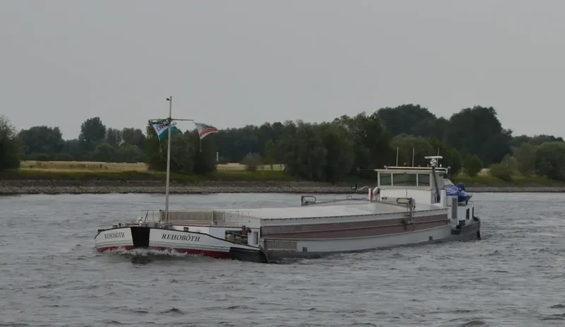 REHOBOTH General Cargo IMO 8332019 photo 2