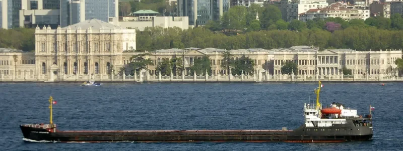 KAPITAN AVESHNIKOV General Cargo IMO 8332796 photo 5
