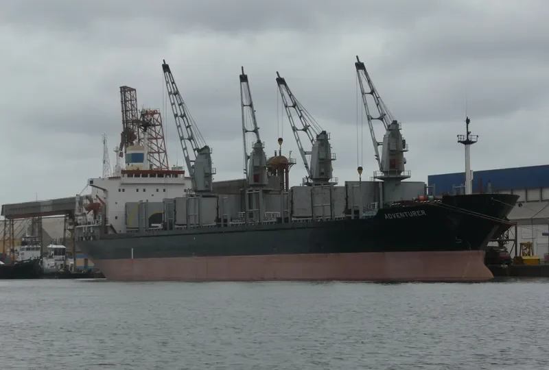TANAIS LEADER Bulk Carrier IMO 8400206 photo 2