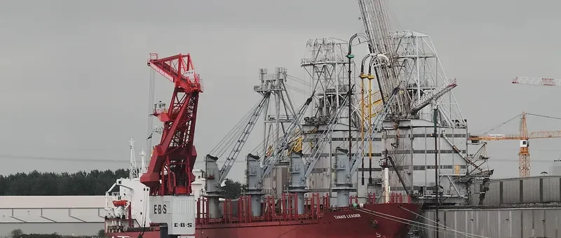 TANAIS LEADER Bulk Carrier IMO 8400206 photo 3