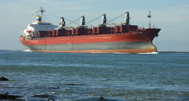 TANAIS LEADER Bulk Carrier IMO 8400206 photo 5