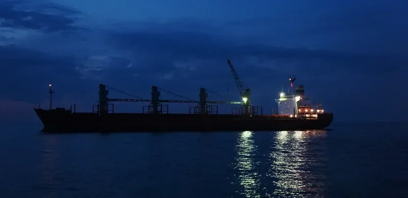 TANAIS LEADER Bulk Carrier IMO 8400206 photo 6
