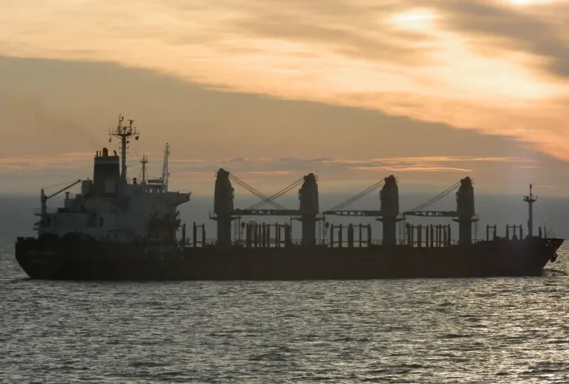 TANAIS LEADER Bulk Carrier IMO 8400206 photo 7