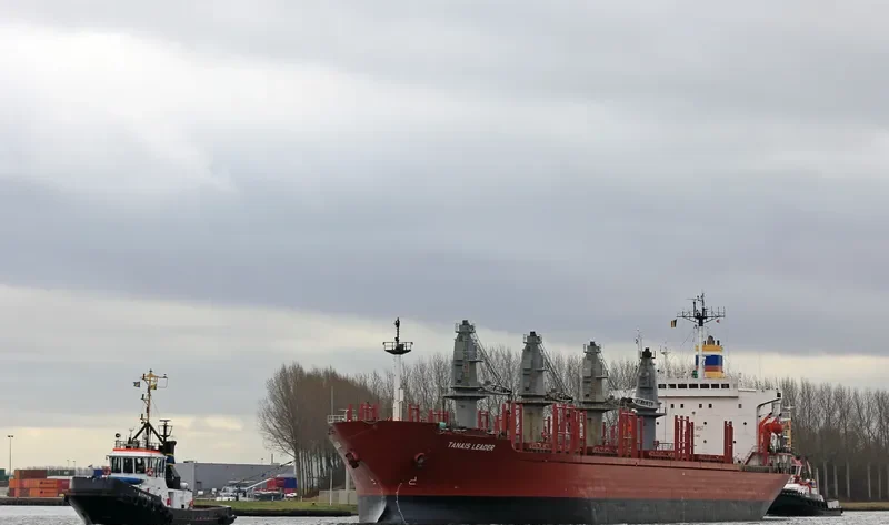 TANAIS LEADER Bulk Carrier IMO 8400206 photo 8