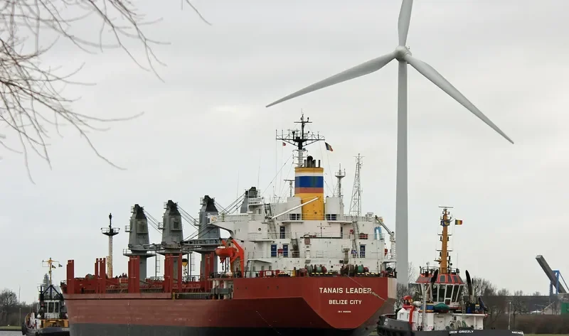 TANAIS LEADER Bulk Carrier IMO 8400206 photo 10