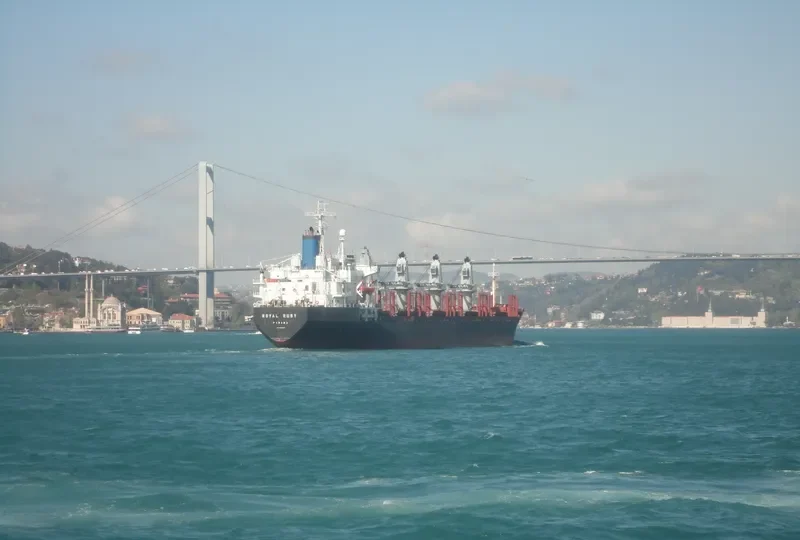SEWARD Bulk Carrier IMO 8400232 photo 4