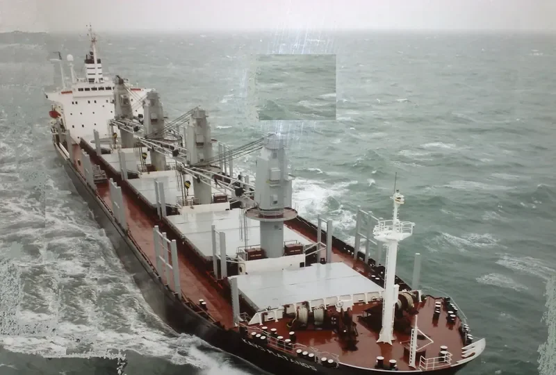 SEWARD Bulk Carrier IMO 8400232 photo 6