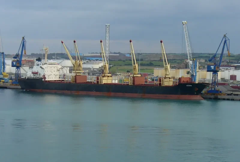 ENARXIS Bulk Carrier IMO 8400452