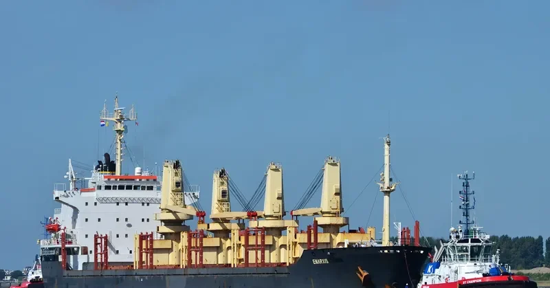 ENARXIS Bulk Carrier IMO 8400452 photo 2