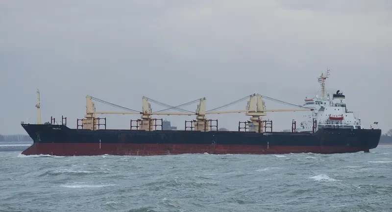 ENARXIS Bulk Carrier IMO 8400452 photo 6