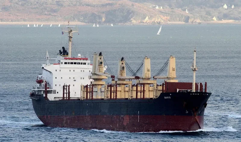 ENARXIS Bulk Carrier IMO 8400452 photo 9