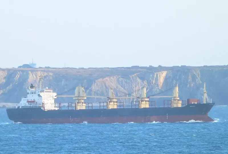 ENARXIS Bulk Carrier IMO 8400452 photo 10