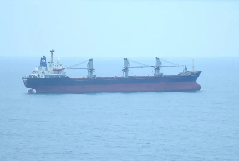 OCEAN PEARL Bulk Carrier IMO 8401250 photo 3