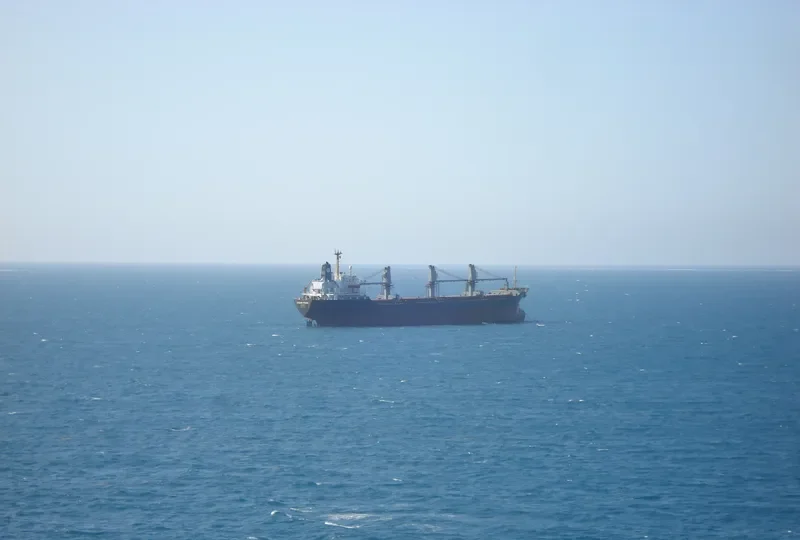 OCEAN PEARL Bulk Carrier IMO 8401250 photo 4