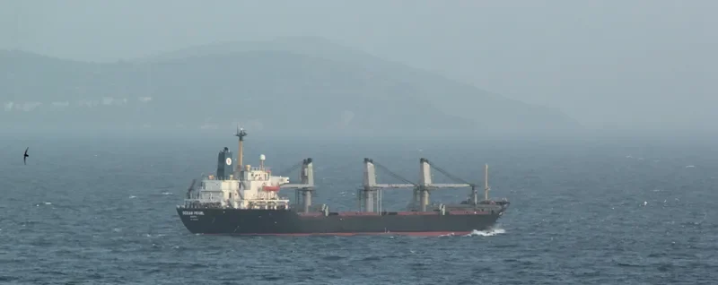 OCEAN PEARL Bulk Carrier IMO 8401250 photo 5