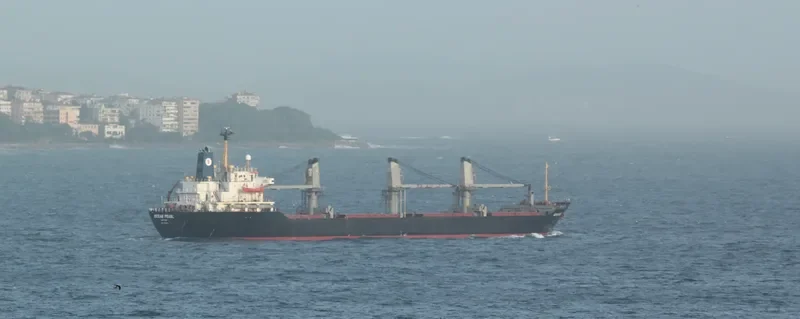 OCEAN PEARL Bulk Carrier IMO 8401250 photo 6