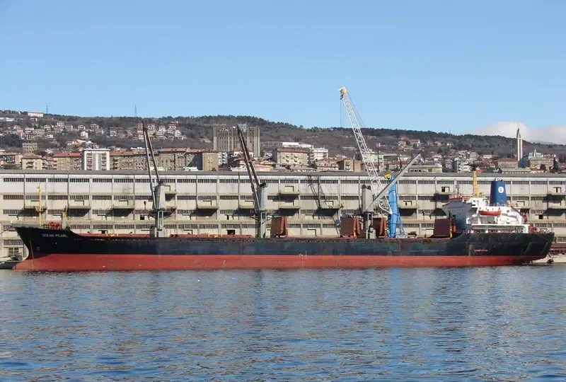 OCEAN PEARL Bulk Carrier IMO 8401250 photo 7