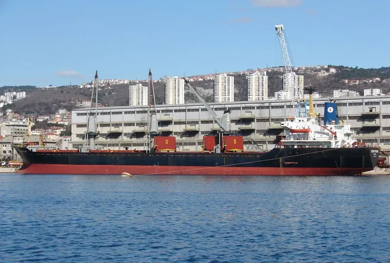 OCEAN PEARL Bulk Carrier IMO 8401250 photo 8