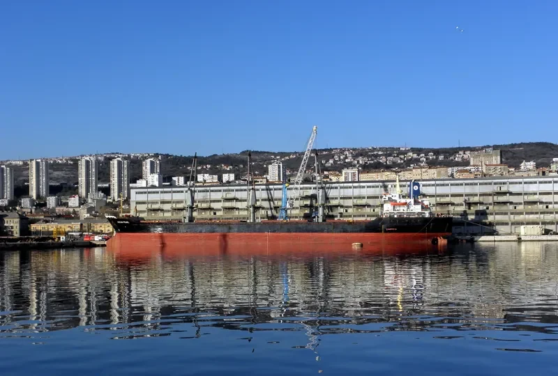 OCEAN PEARL Bulk Carrier IMO 8401250 photo 9