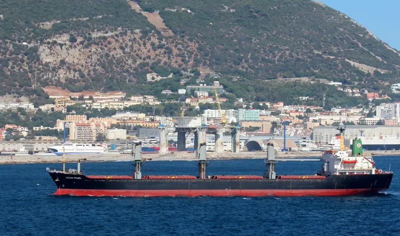 OCEAN PEARL Bulk Carrier IMO 8401250 photo 10