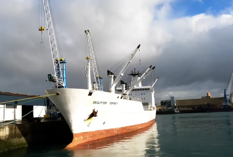 SKULPTOR TOMSKIY General Cargo IMO 8402204 photo 6