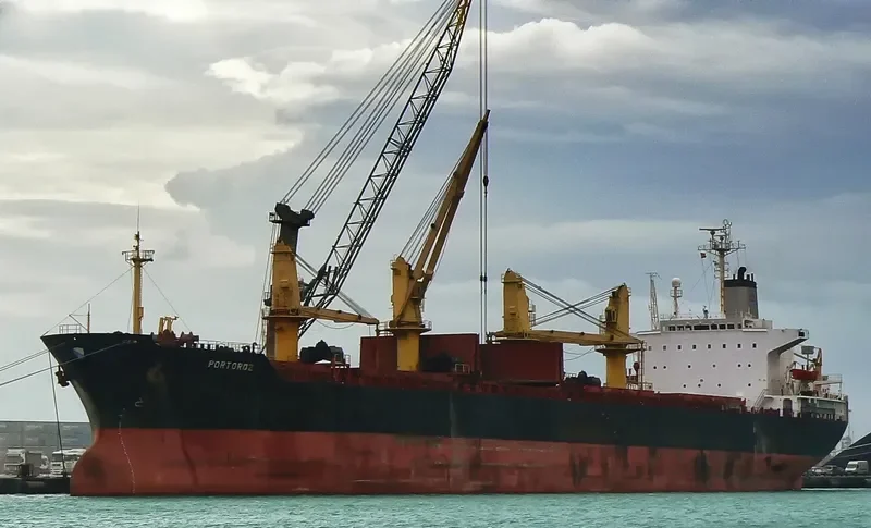 HONG KONG PEARL Bulk Carrier IMO 8403791