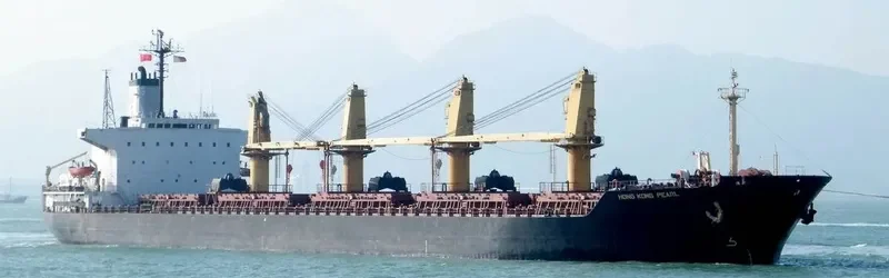 HONG KONG PEARL Bulk Carrier IMO 8403791 photo 2