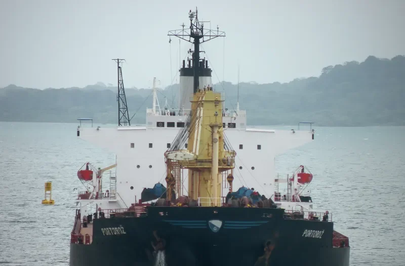 HONG KONG PEARL Bulk Carrier IMO 8403791 photo 3