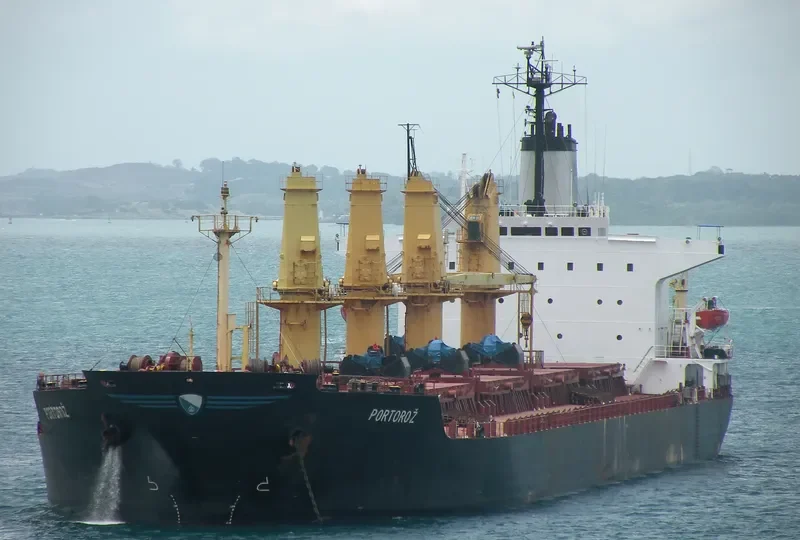 HONG KONG PEARL Bulk Carrier IMO 8403791 photo 4