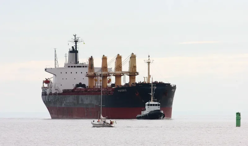 HONG KONG PEARL Bulk Carrier IMO 8403791 photo 5