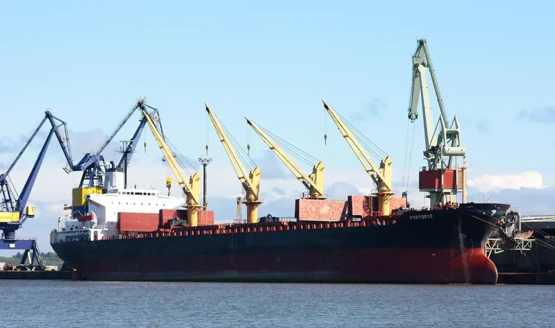 HONG KONG PEARL Bulk Carrier IMO 8403791 photo 6