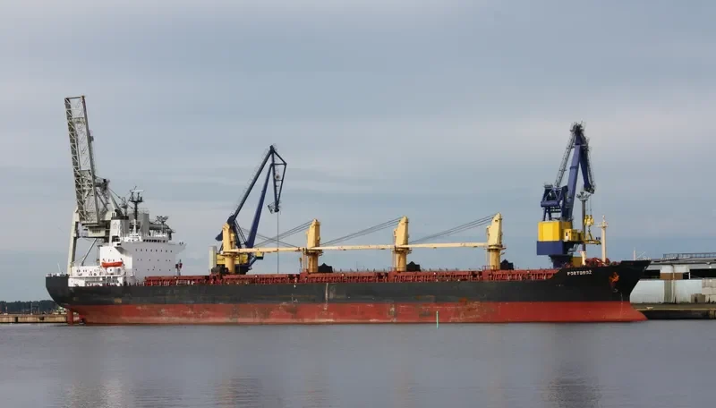 HONG KONG PEARL Bulk Carrier IMO 8403791 photo 7