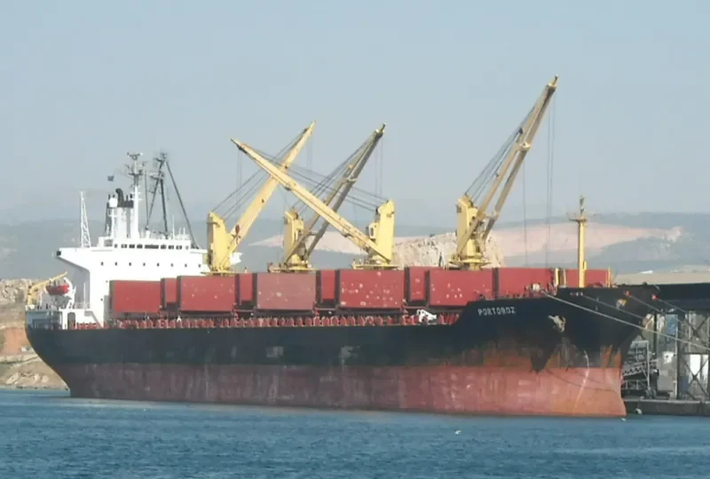 HONG KONG PEARL Bulk Carrier IMO 8403791 photo 8