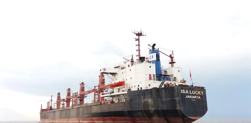 ISA LUCKY Bulk Carrier IMO 8405218 photo 3