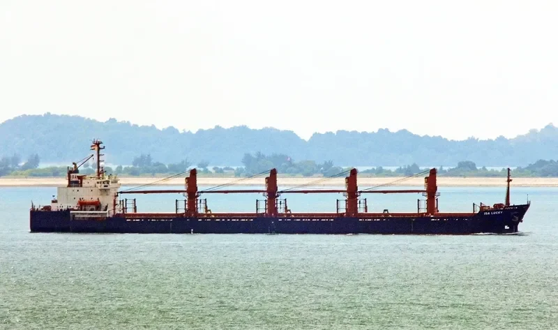 ISA LUCKY Bulk Carrier IMO 8405218 photo 4